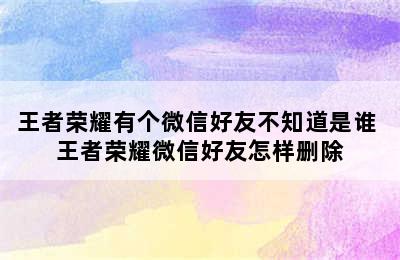 王者荣耀有个微信好友不知道是谁 王者荣耀微信好友怎样删除